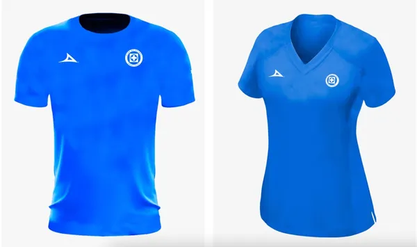Imagen tomada de pirma.com.mx
