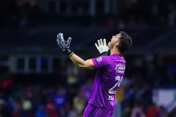 Jurado (Imago 7)
