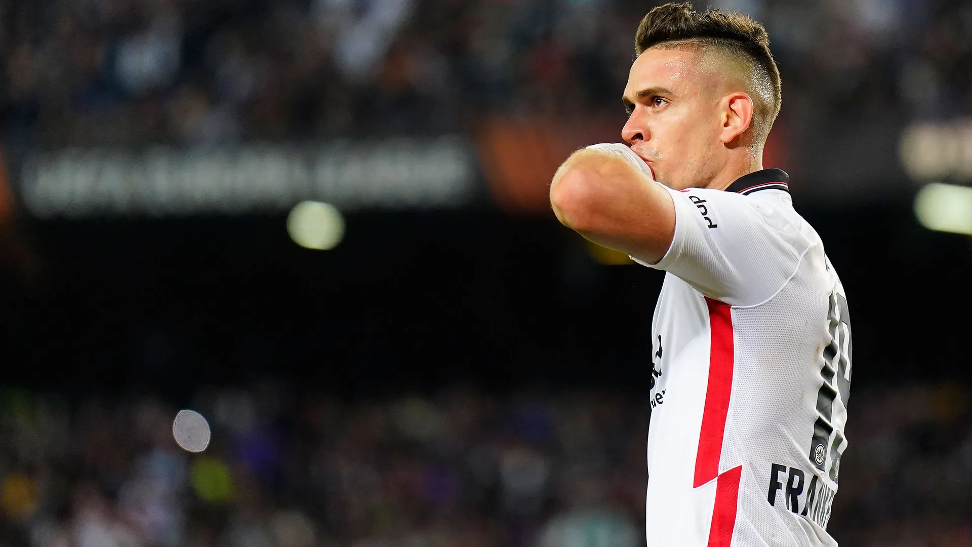 "No vendrá al peor equipo de la Liga MX": El 'Perro' Bermúdez sobre Rafael Santos Borré