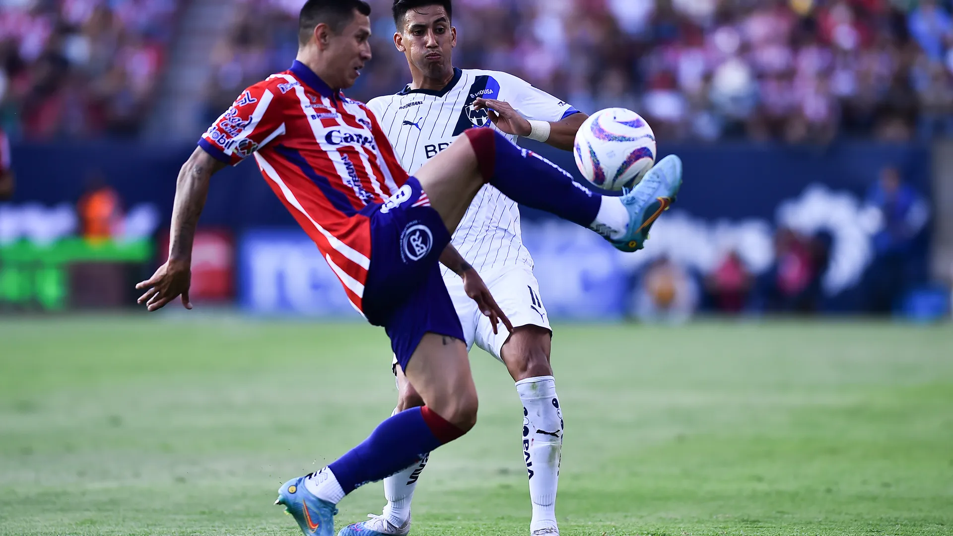 ¿Qué jugadores de Cruz Azul reaccionaron a la provocación del "Cata" Domínguez?