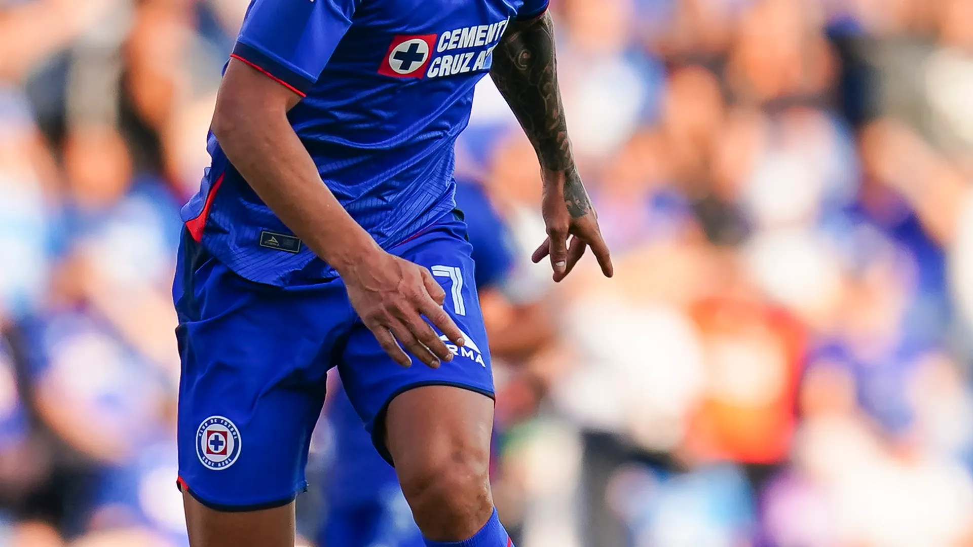Toro Fernández atravesará un largo proceso de recuperación.