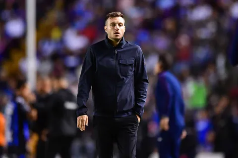Anselmi tiene un nuevo admirador.